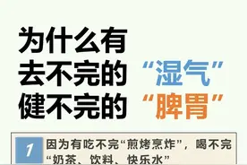 为什么有“除不完的湿气”？治湿热、寒湿、痰湿的利器图片