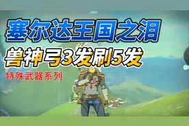 【特殊武器系列】塞尔达王国之泪-多发弓/兽神弓的最全获取方式图片