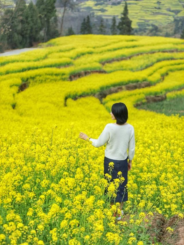 成都周边“小西安”？万亩菜花梯田、“鼓楼”、美食，快带全家去