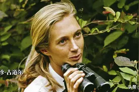 黑猩猩发动四年内战，必除之后快，动物战争的本质是什么？图片