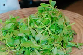 很多人没有见过这种野菜，用它做凉拌苋菜，清脆爽口又下饭图片