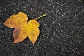 别人问你工资多少，高情商会这样回答，既不伤害他人，也不尴尬！图片