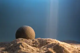 月球上的土可以吃吗？吃了会怎么样？图片