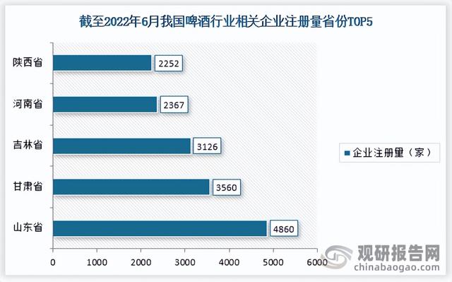 中国啤酒行业竞争现状调研与发展战略分析报告(2022-2029年)