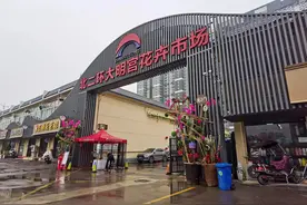 北二环大明宫花卉市场规模不大，却是西安北郊人的“小花园”图片