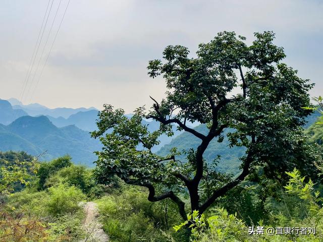 朋友携家人开车四小时去山西悬空寺却败兴而归，于是带他们来这儿