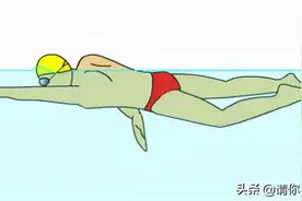 游泳技术 | 自由泳标准技术动作，动态图慢动作讲解图片