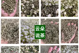 听说茶圈鄙视链是花茶，NO！这6款天花板茉莉花茶一定要尝！图片