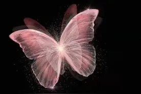 网名大全 | 男生/女生/情侣/闺蜜网名合辑图片