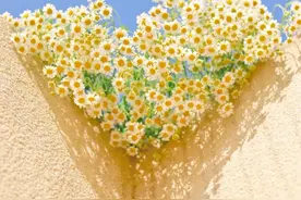 花式怼人文案短句（建议收藏）图片