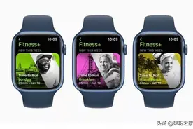 Apple Watch Series 8或将不会配备体温传感器图片