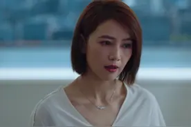 《完美伴侣》：林庆昆花一个晚上让吴敏签字，让我读懂了中年婚姻图片