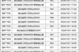 超12000台车，占用应急车道！湖北交警通报图片