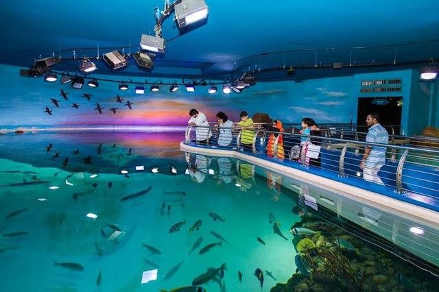 沙迦水族馆+海事博物馆 | 奇幻海洋宝藏，带娃党的福音