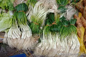 它是“菜中灵芝”，长得像葱又像蒜，营养又美味，腌着吃酸甜可口图片