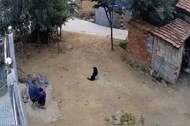 这些监控画面，我一秒也不敢看……图片