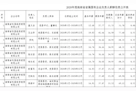 海南省属千亿企业仅有1家，省属企业负责人薪酬多吗？图片
