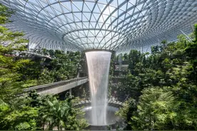 新加坡留学丨入境后这三点注意事项一定要牢记，避免被遣送回国图片