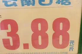 白糖不为人知的秘密图片