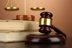 顺风车并非网约车 保险公司不能免责 成都高新区法院：上下班时拼车未实质改变车辆使用性质图片