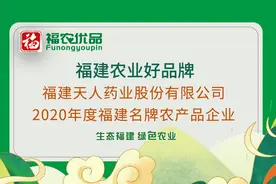 福建农业好品牌 天人柘荣太子参 道地药材 “参参”不息图片