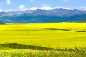 这里是——门源！图片