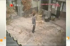 大地恩情第十章 第十册⑩ 古都惊雷之四图片