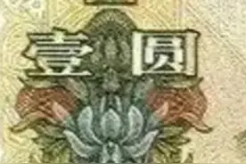 每天都用的人民币上印着的花你认识吗？图片