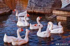 Zzuers眼中的郑大美景：新岁已至，心向美好图片