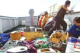 论国企船员和自由船员的存在性图片