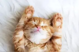 日本留学生放假日历！不调休的神仙假期都有哪几天？图片