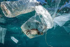 用塑料瓶做的衣服！这么科幻，你敢信吗？图片