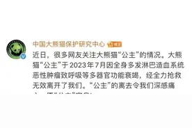 突然！官方确认：“公主”和“蓉蓉”双双去世图片