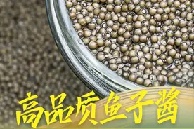 【“天府粮仓”·北京行】全球有12%鱼子酱产自雅安天全县图片