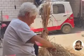 百善孝为先，德云一哥岳云鹏带母亲回老家割麦子喽图片