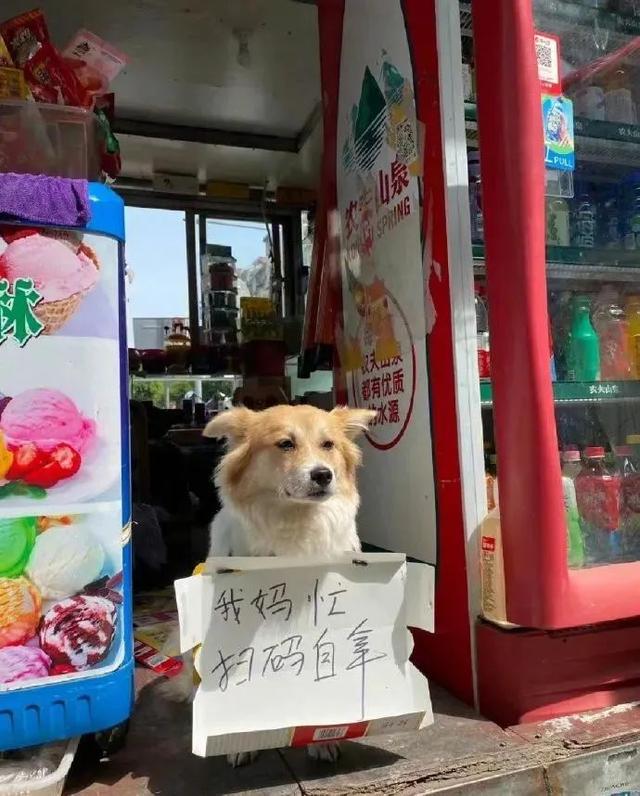 路边见过最好笑的沙雕提示语...各个都是段子手