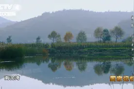 他们如何将“烂泥湾”变为“好江南”？图片