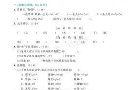 小学语文五年级下册第一、二单元提优练习含答案图片