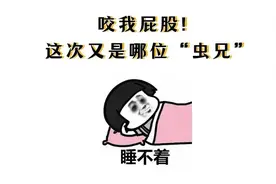 从这三方面入手，臭虫家中不再有图片