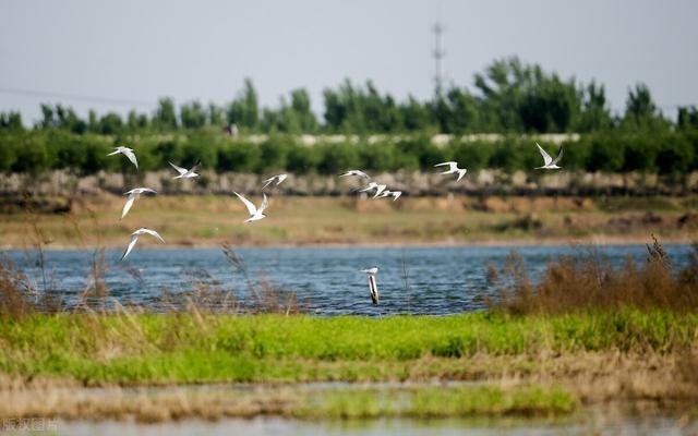 河北露营地合集之「保定露营地名单大全」，建议收藏