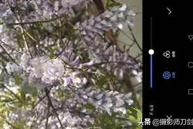 华为手机摄影实战教程（3）:大光圈的运用图片