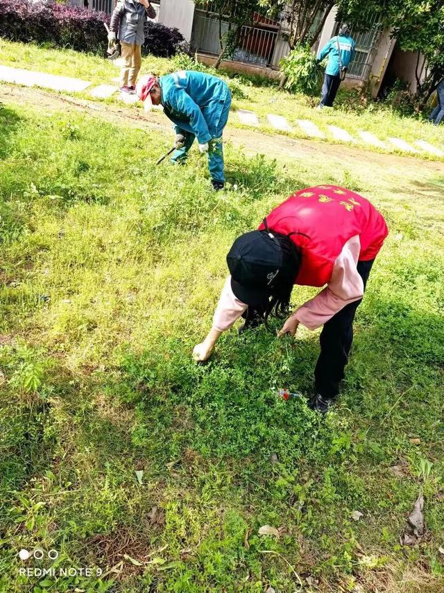 东湖新技术开发区豹澥街分类专班黄金堂社区开展清洁家园活动