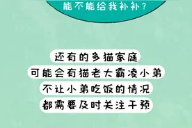 猫咪疯狂迷恋塑料袋，是有啥怪癖？一张图教你解决图片