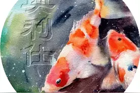 养锦鲤的你对池底藻类了解多少？图片