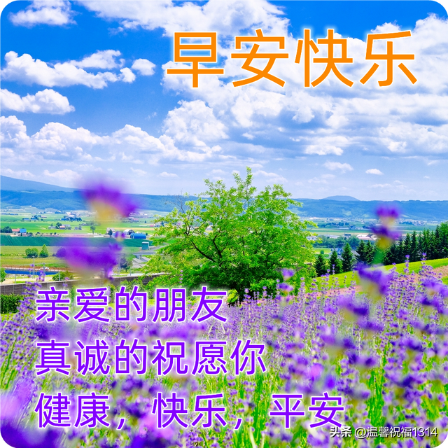 11月15日星期二最新早上好问候图片带字 微信群发暖心的早安图片