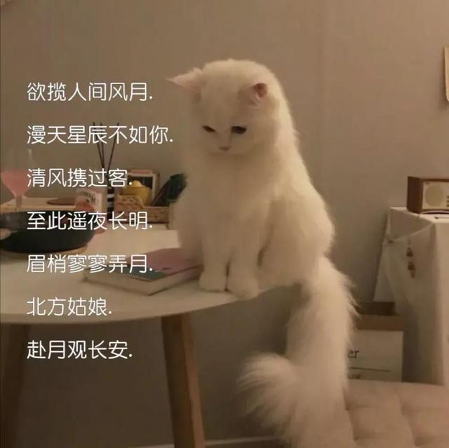 insحɰС΢