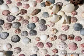 如何理解易经中的阴阳之道？图片