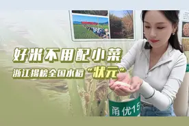 浙里有宝丨好米不用配小菜 浙江揭榜全国水稻“状元”图片
