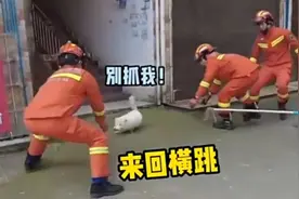 罕见白狐现身湖南永州，分析：这绝不是好事，看到白狐一定要警惕图片