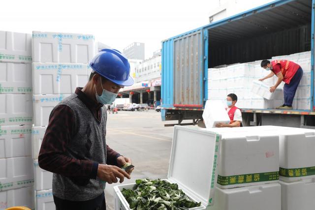 深圳花胶哪里有卖 2026年深圳哪里有花胶买